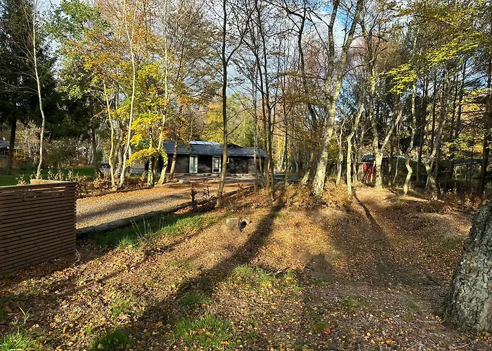 Rummeligt Sommerhus Ved Asserbo Plantage Frederiksværk